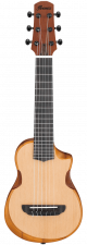 Ibanez AUP10N OPN Open Pore Guitalele + Gigbag
