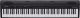 Roland GO:PIANO88 (GO-88P)