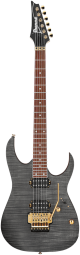 Ibanez RGR420FMSP TGF Transparent Gray Flat